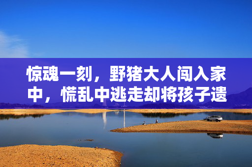 惊魂一刻，野猪大人闯入家中，慌乱中逃走却将孩子遗忘在房间