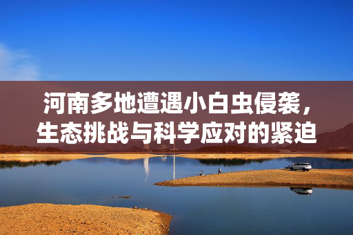 河南多地遭遇小白虫侵袭，生态挑战与科学应对的紧迫性
