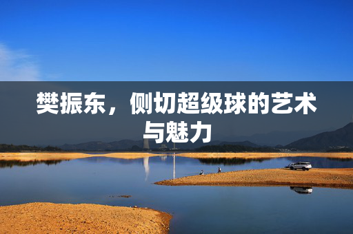 樊振东，侧切超级球的艺术与魅力