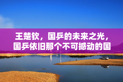 王楚钦，国乒的未来之光，国乒依旧那个不可撼动的国乒