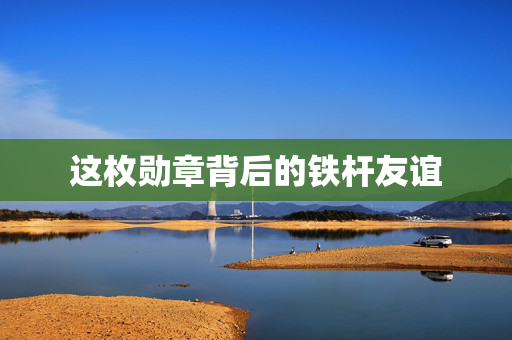 这枚勋章背后的铁杆友谊