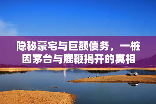 隐秘豪宅与巨额债务，一桩因茅台与鹿鞭揭开的真相