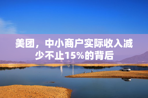 美团，中小商户实际收入减少不止15%的背后