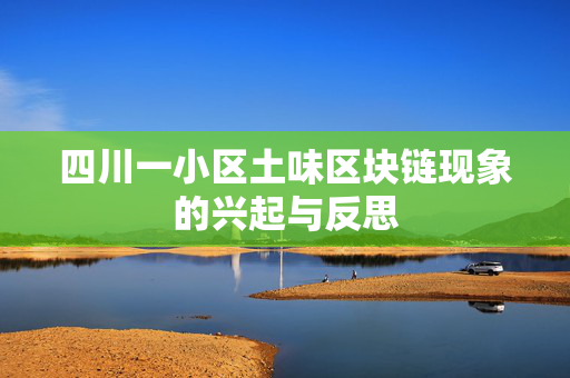 四川一小区土味区块链现象的兴起与反思