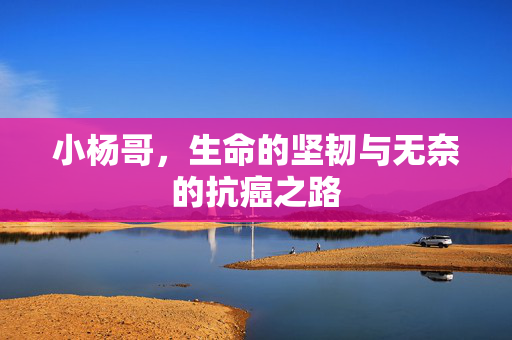 小杨哥，生命的坚韧与无奈的抗癌之路