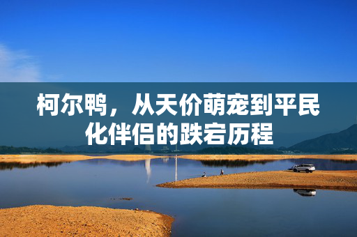 柯尔鸭，从天价萌宠到平民化伴侣的跌宕历程