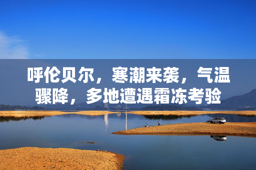 呼伦贝尔，寒潮来袭，气温骤降，多地遭遇霜冻考验