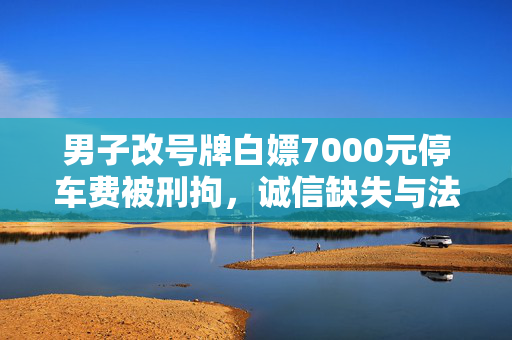 男子改号牌白嫖7000元停车费被刑拘，诚信缺失与法律威严的较量