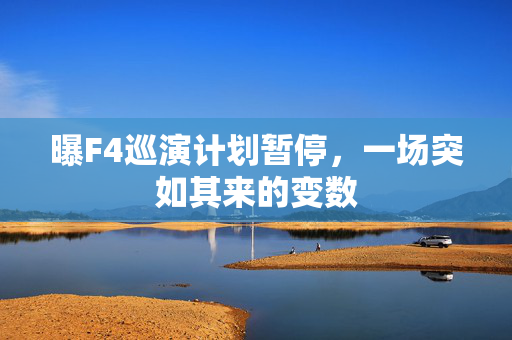曝F4巡演计划暂停，一场突如其来的变数