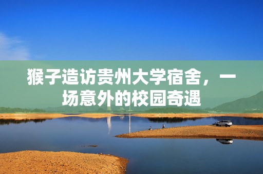 猴子造访贵州大学宿舍，一场意外的校园奇遇