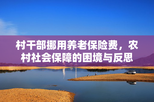 村干部挪用养老保险费，农村社会保障的困境与反思