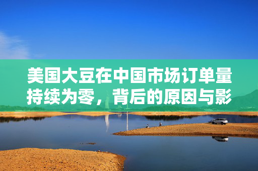 美国大豆在中国市场订单量持续为零，背后的原因与影响分析