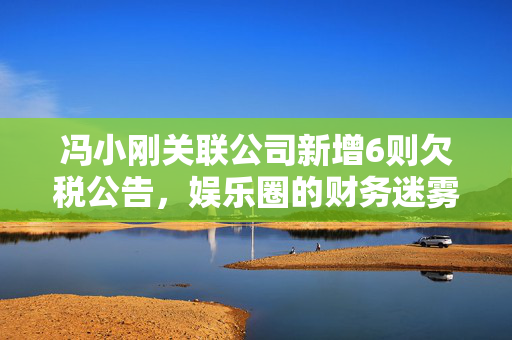 冯小刚关联公司新增6则欠税公告，娱乐圈的财务迷雾与公众信任的考验