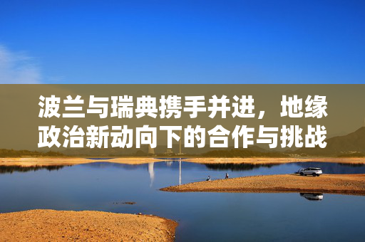 波兰与瑞典携手并进，地缘政治新动向下的合作与挑战