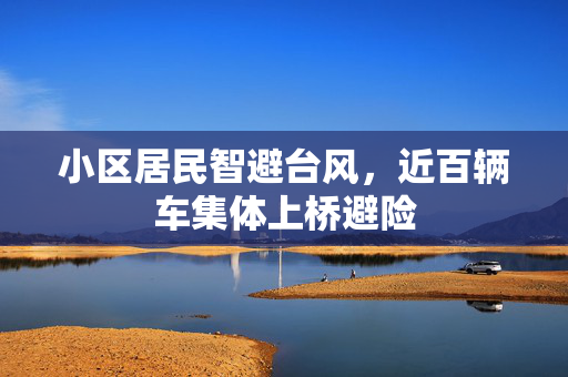 小区居民智避台风，近百辆车集体上桥避险