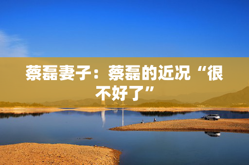 蔡磊妻子：蔡磊的近况“很不好了”