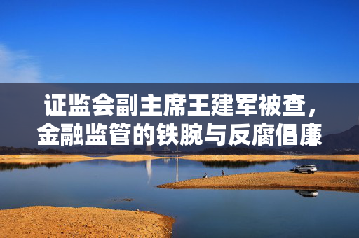 证监会副主席王建军被查，金融监管的铁腕与反腐倡廉的坚定决心