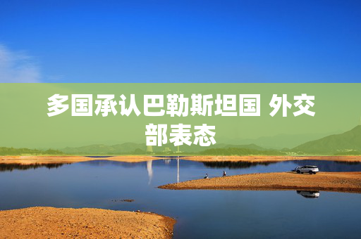 多国承认巴勒斯坦国 外交部表态