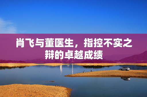肖飞与董医生，指控不实之辩的卓越成绩