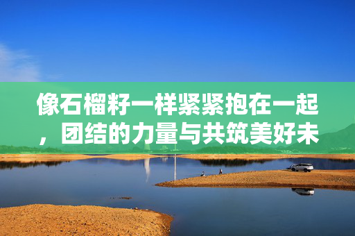 像石榴籽一样紧紧抱在一起，团结的力量与共筑美好未来