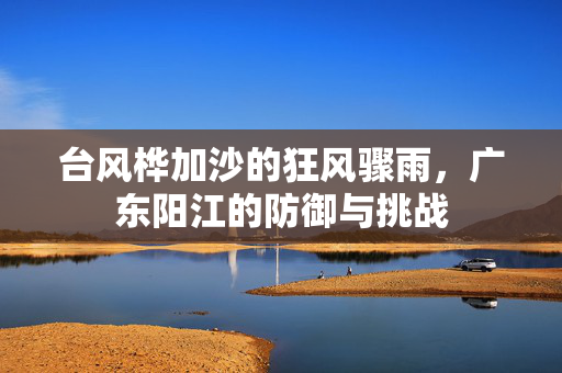 台风桦加沙的狂风骤雨，广东阳江的防御与挑战