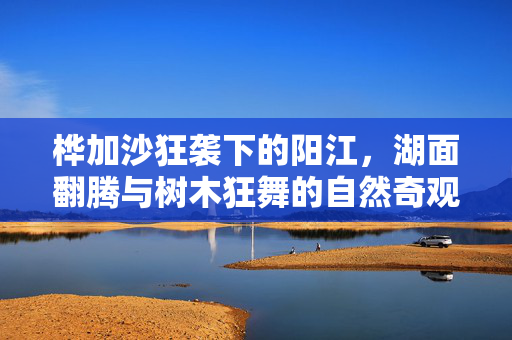 桦加沙狂袭下的阳江，湖面翻腾与树木狂舞的自然奇观