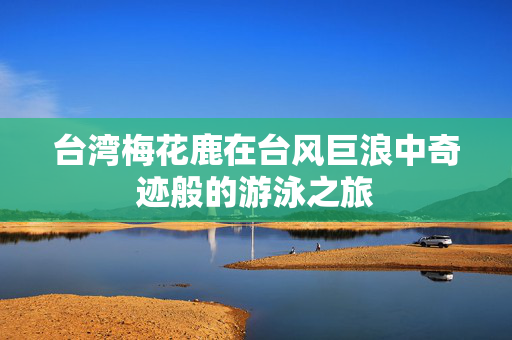 台湾梅花鹿在台风巨浪中奇迹般的游泳之旅