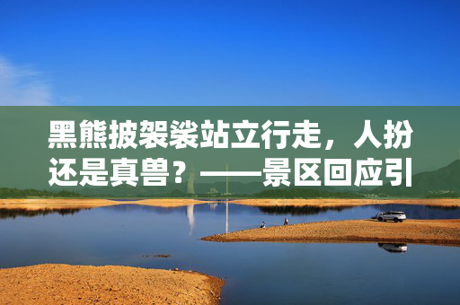 黑熊披袈裟站立行走，人扮还是真兽？——景区回应引发的思考