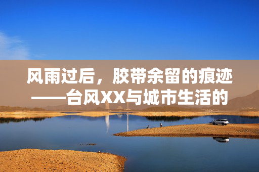 风雨过后，胶带余留的痕迹——台风XX与城市生活的微妙交集