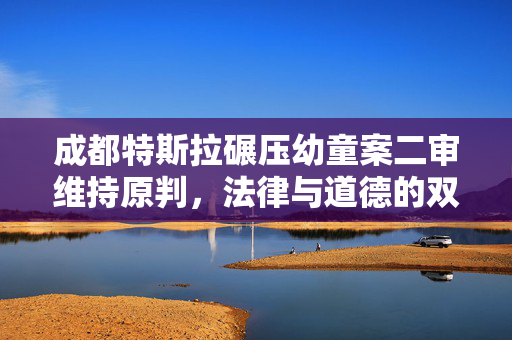 成都特斯拉碾压幼童案二审维持原判，法律与道德的双重审视
