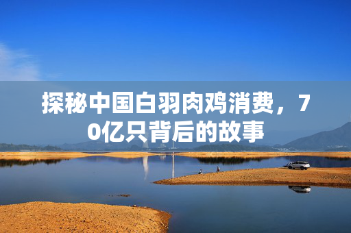 探秘中国白羽肉鸡消费，70亿只背后的故事