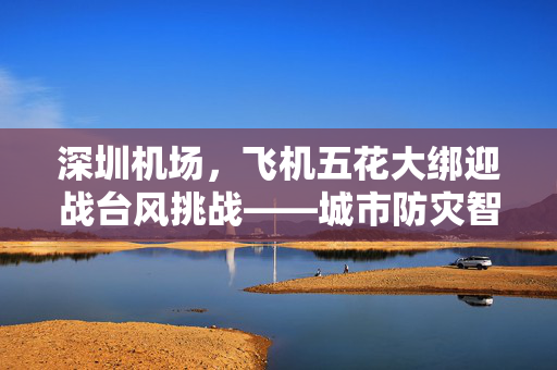 深圳机场，飞机五花大绑迎战台风挑战——城市防灾智慧与人文关怀的双重展现