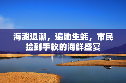海滩退潮，遍地生蚝，市民捡到手软的海鲜盛宴