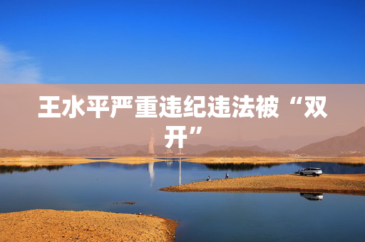 王水平严重违纪违法被“双开”