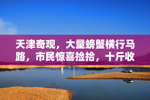 天津奇观，大量螃蟹横行马路，市民惊喜捡拾，十斤收获成趣谈