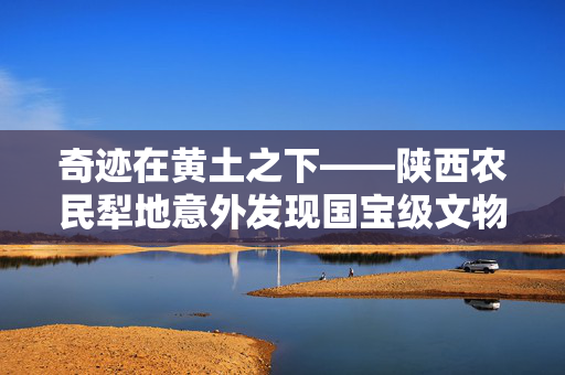 奇迹在黄土之下——陕西农民犁地意外发现国宝级文物纪实