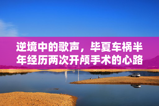 逆境中的歌声，毕夏车祸半年经历两次开颅手术的心路历程
