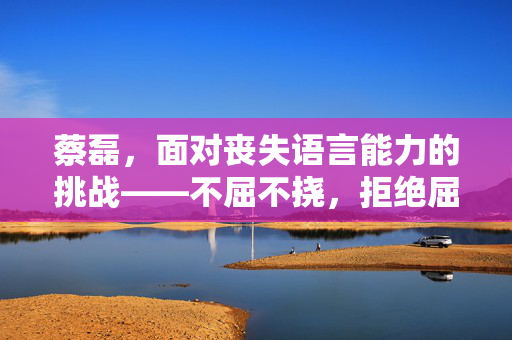 蔡磊，面对丧失语言能力的挑战——不屈不挠，拒绝屈辱等死