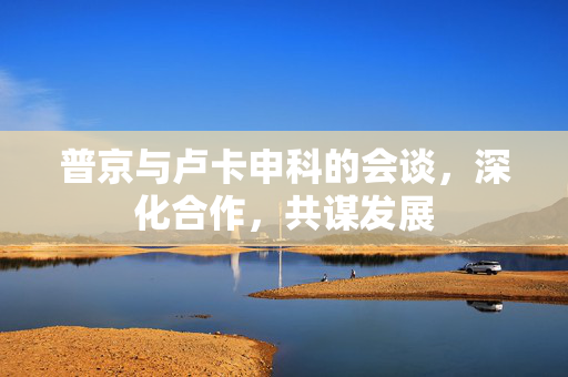 普京与卢卡申科的会谈，深化合作，共谋发展