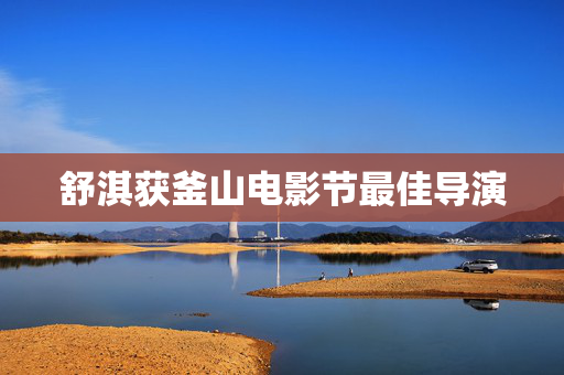 舒淇获釜山电影节最佳导演