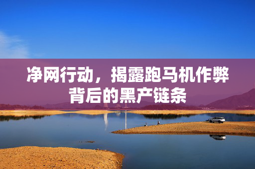 净网行动，揭露跑马机作弊背后的黑产链条