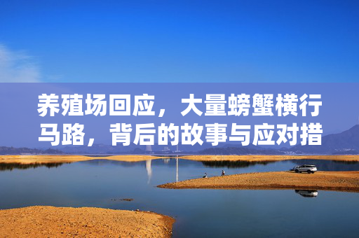 养殖场回应，大量螃蟹横行马路，背后的故事与应对措施