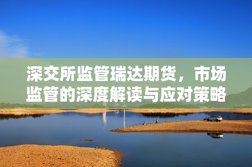 深交所监管瑞达期货，市场监管的深度解读与应对策略