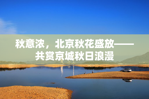 秋意浓，北京秋花盛放——共赏京城秋日浪漫