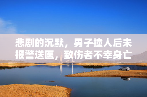 悲剧的沉默，男子撞人后未报警送医，致伤者不幸身亡