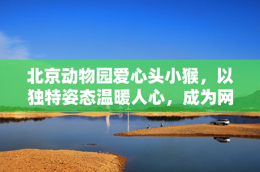 北京动物园爱心头小猴，以独特姿态温暖人心，成为网络新宠