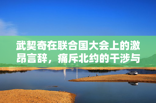 武契奇在联合国大会上的激昂言辞，痛斥北约的干涉与施压