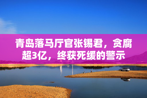 青岛落马厅官张锡君，贪腐超3亿，终获死缓的警示