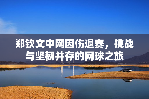 郑钦文中网因伤退赛，挑战与坚韧并存的网球之旅