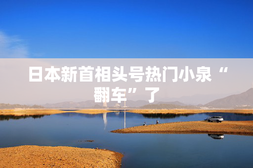 日本新首相头号热门小泉“翻车”了